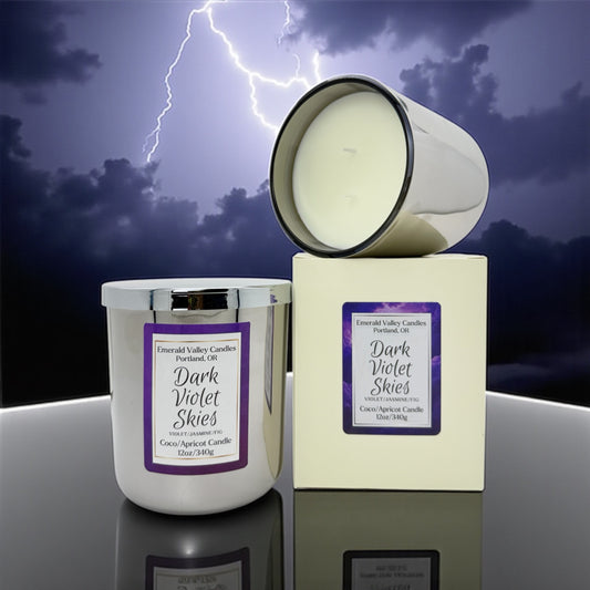 DARK VIOLET SKIES